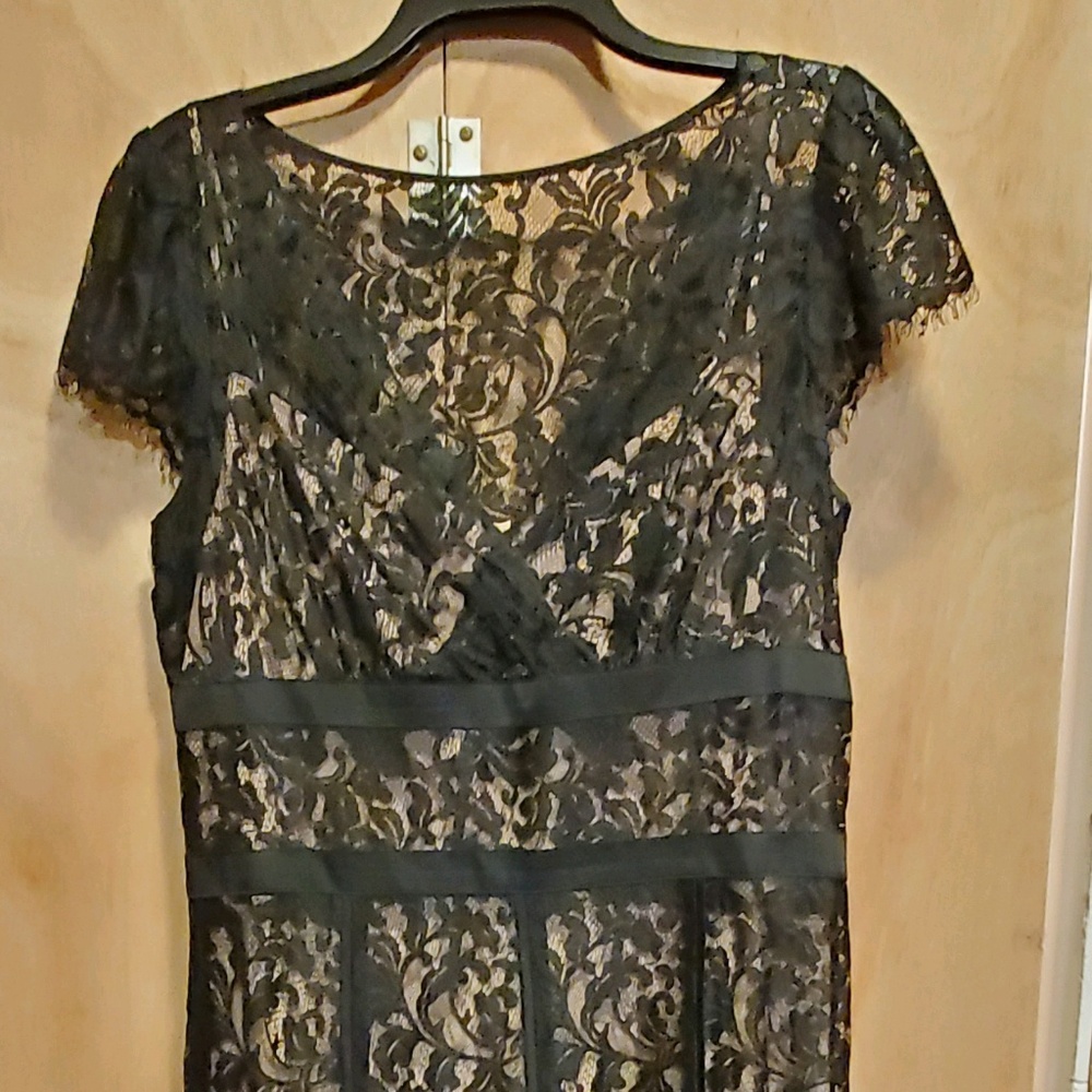 Ann Taylor lace dress size 12
